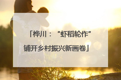桦川：“虾稻轮作”铺开乡村振兴新画卷
